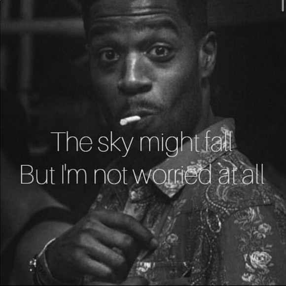 Meet your Posher, Hector - Picture 1 of 1